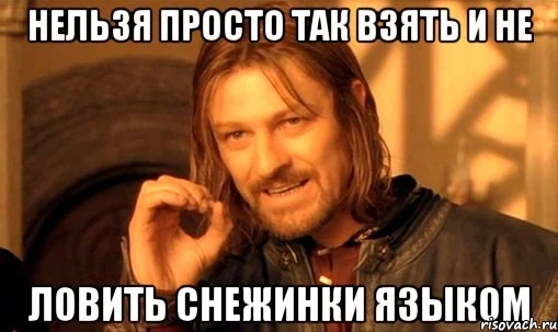 nelzya-prosto-tak-vzyat-i-boromir-mem_4687087_orig_.webp