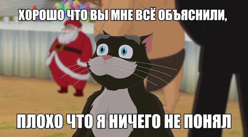 непонял кот.jpg