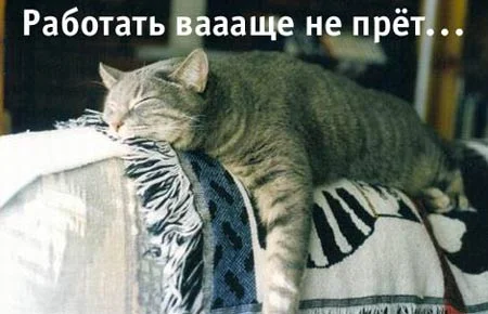 nepre_t.webp