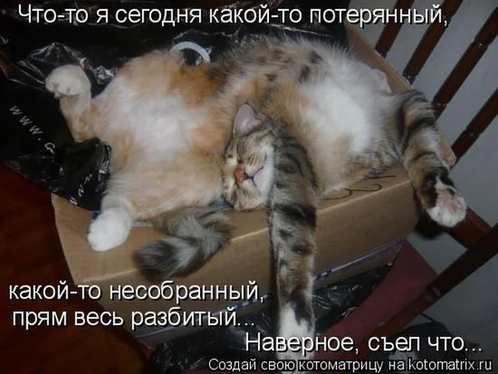 Несобранный.webp