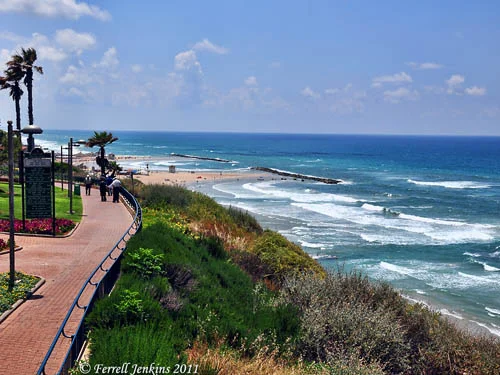 netanya-view-med_kurkar_fjenkins_051411_4662t.webp