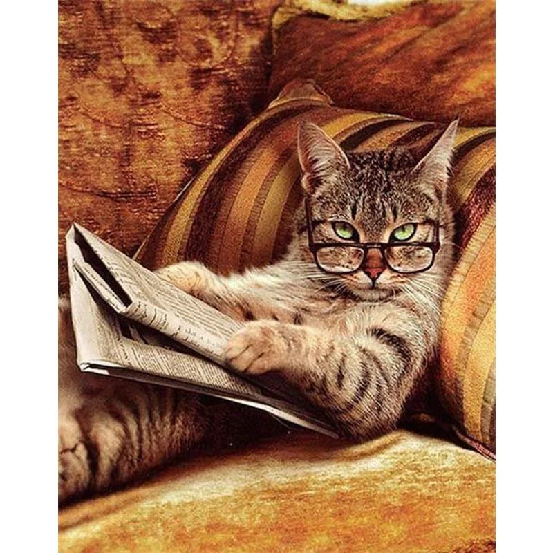 New-Needlework-Glasses-Cat-Lying-On-The-Sofa-Reading-book-round-Diamond-Painting-Mosaic-Diamo...webp