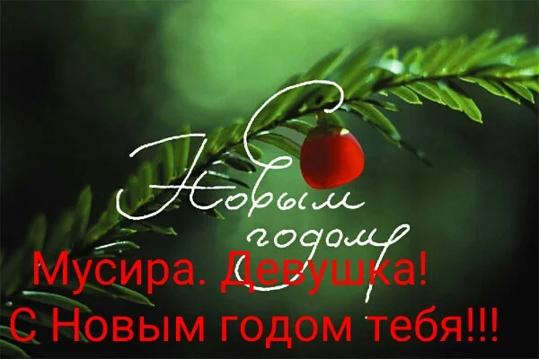 NewYear_20-34-33.webp