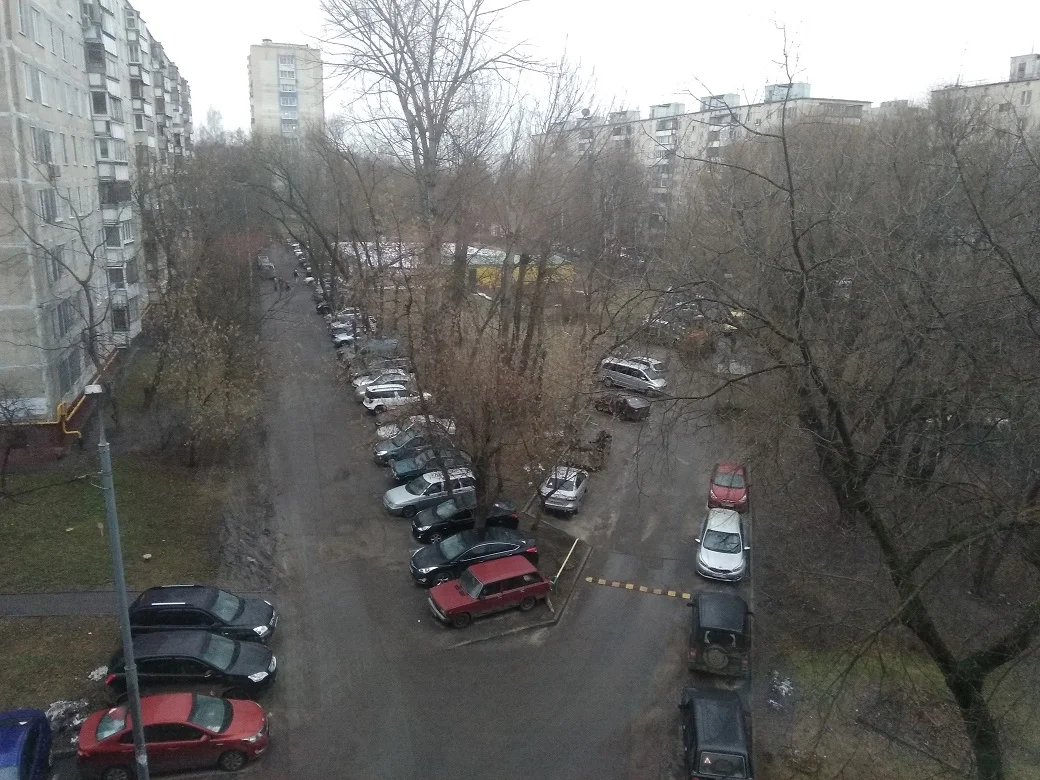 НГ без снега.webp