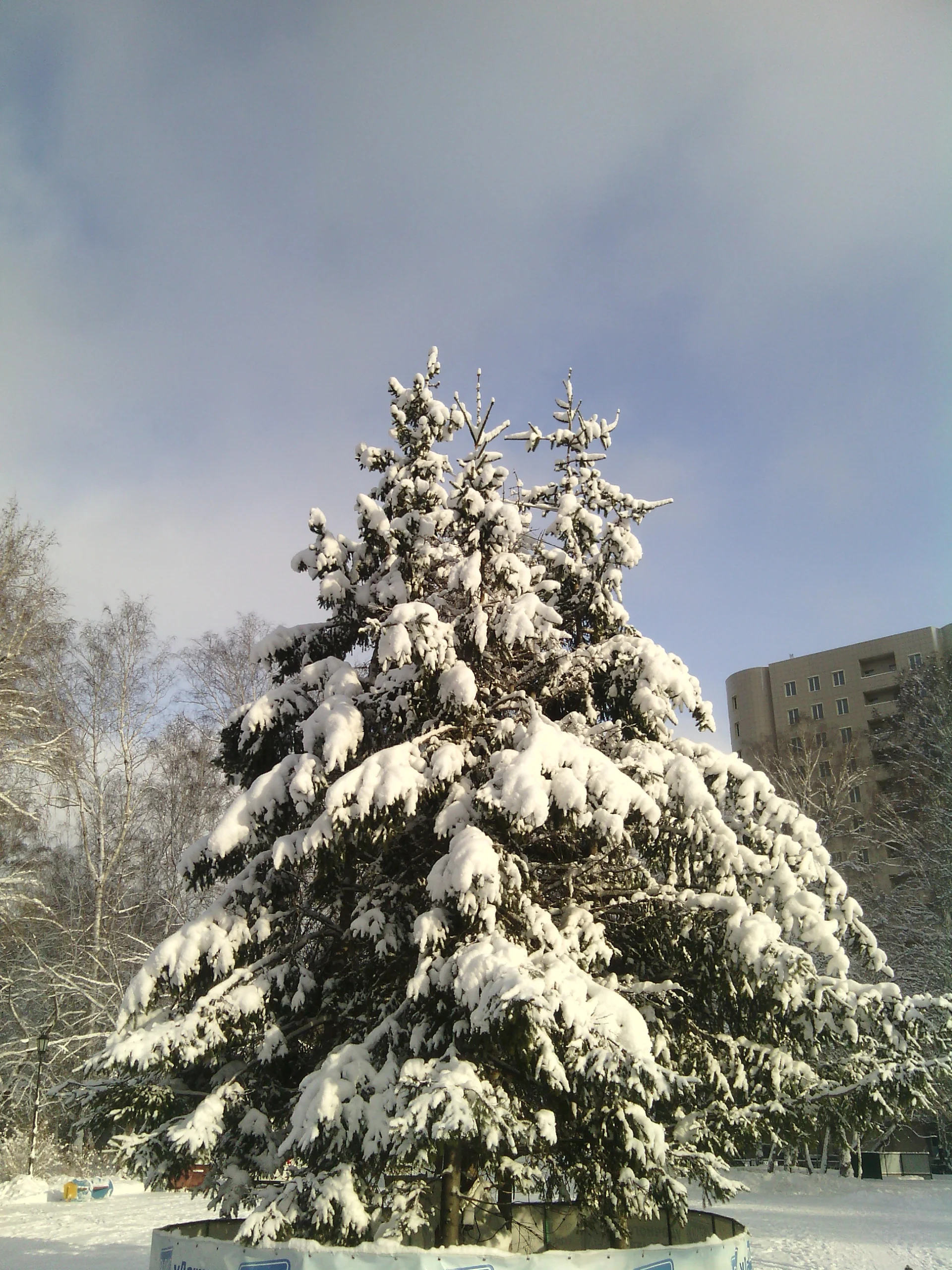 НГ близко.webp