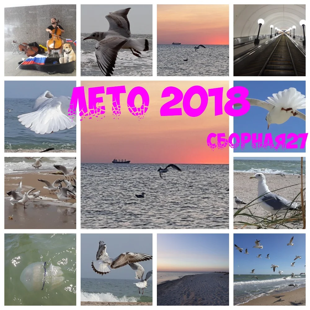 Ничи коллаж.webp