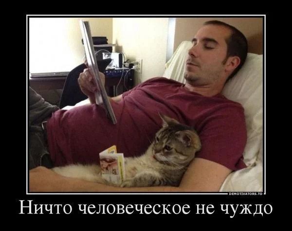nichto-chelovecheskoe-ne-chuzhdo.webp