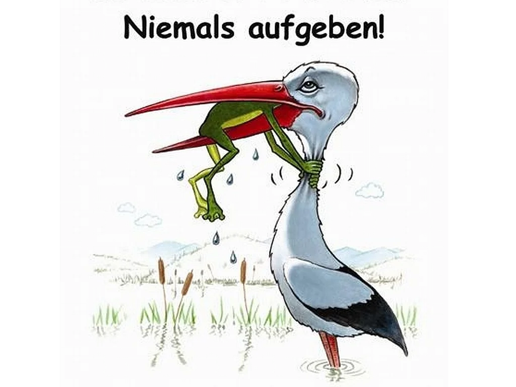 niemals_aufgeben.webp