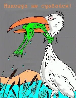 Никогда не сдавайся!.webp