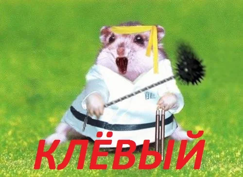 ninja_hamster.webp