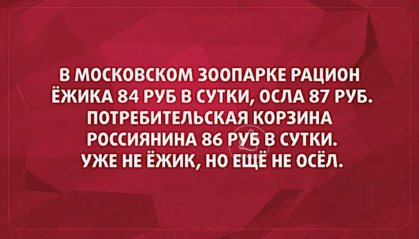 nMnfkkAhDnw.webp