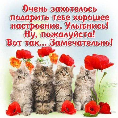 NnC2slUj6Vw.webp