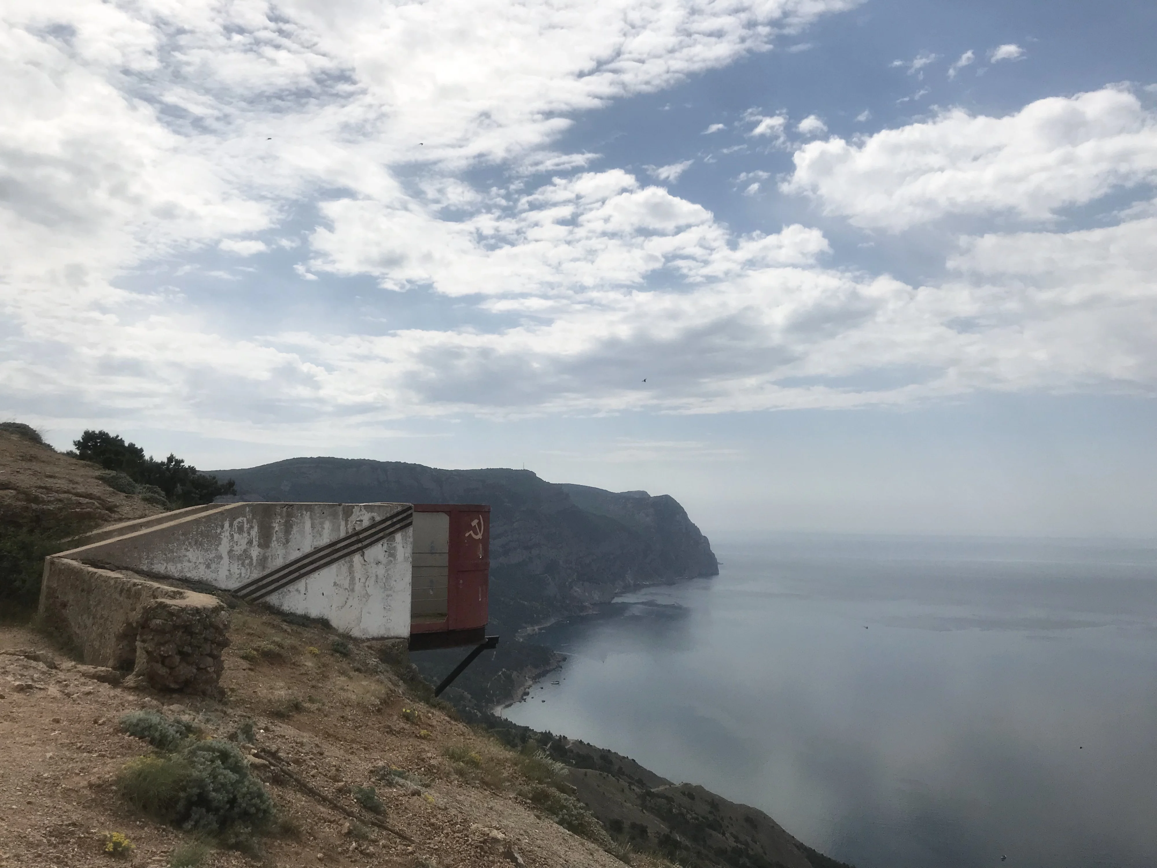 №8 Альма Вейд.webp