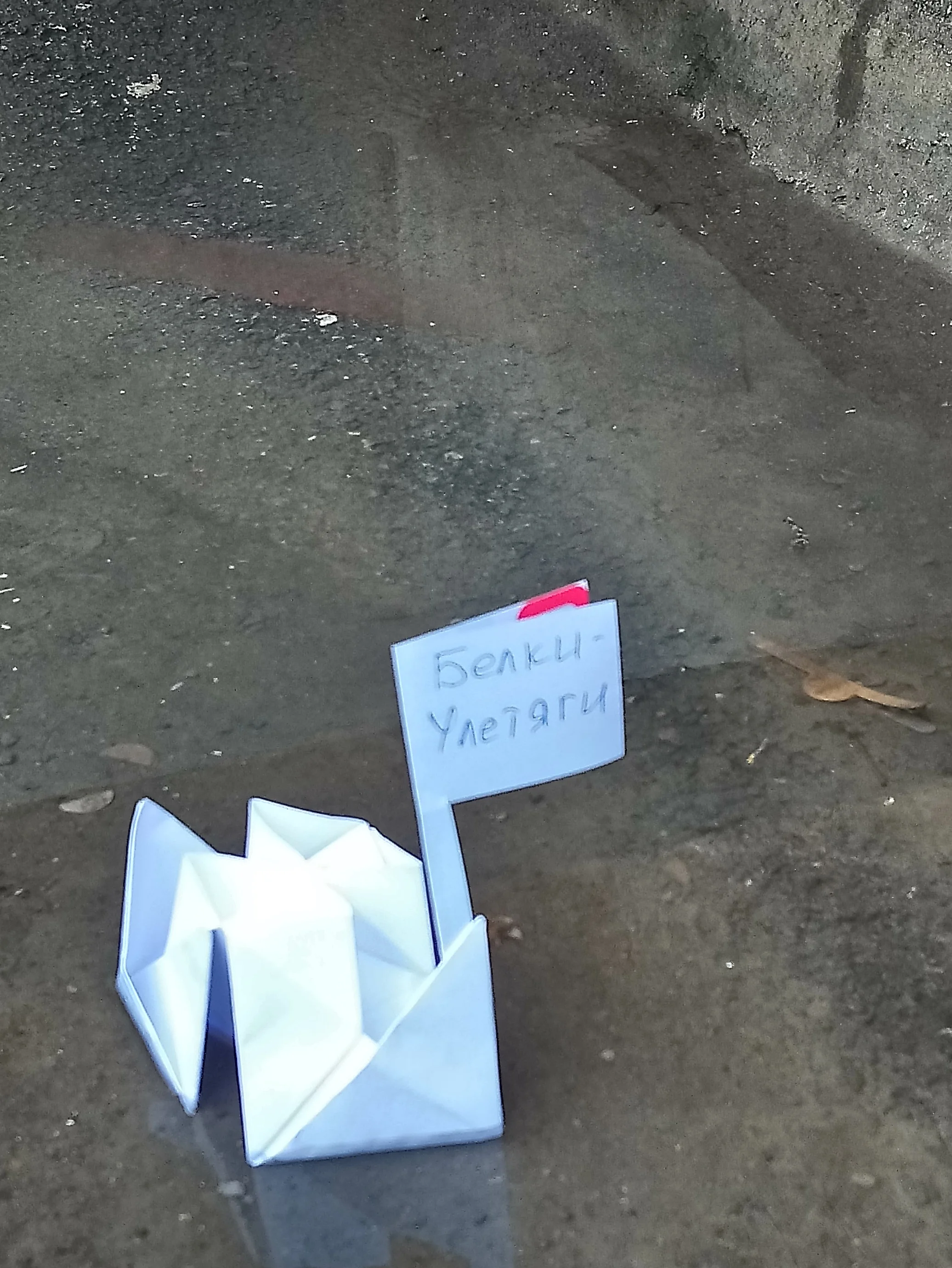 №8 кораблик.webp