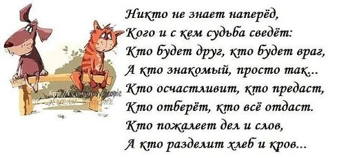 nobyhvuiogtv.webp