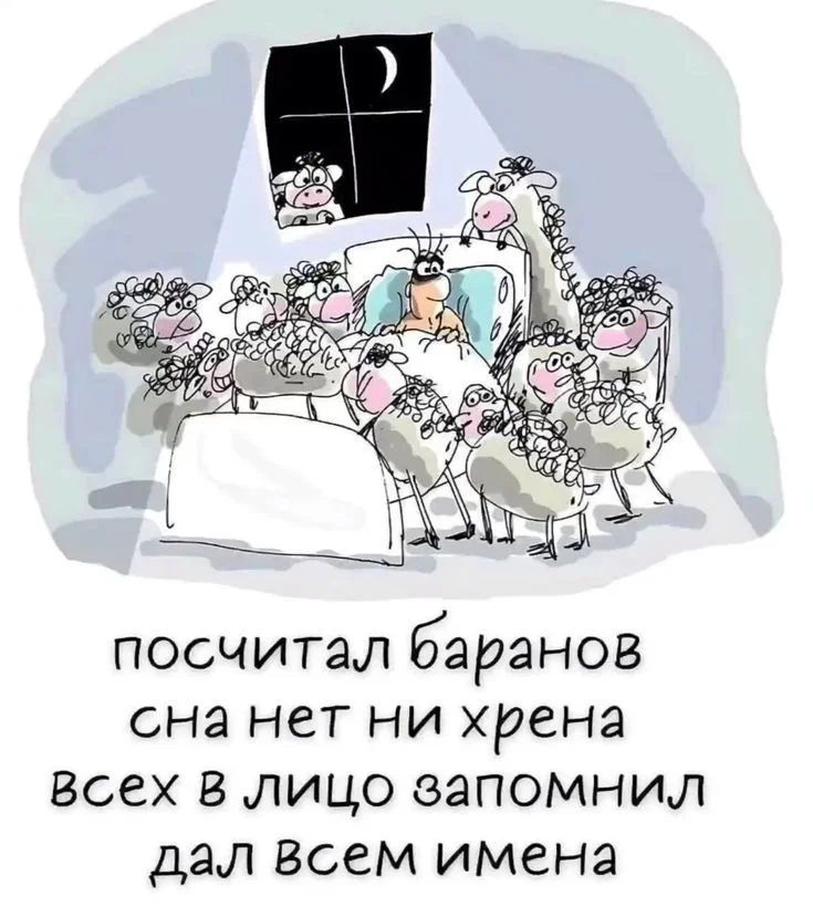 ночное с баранами.webp