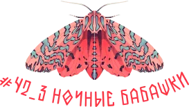 НОЧНЫЕ БАБАШКИ 2.webp