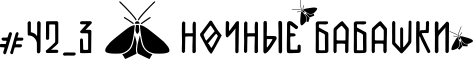 НОЧНЫЕ БАБАШКИ 4.png