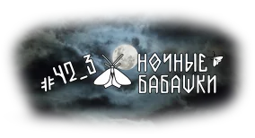 НОЧНЫЕ БАБАШКИ 5.png