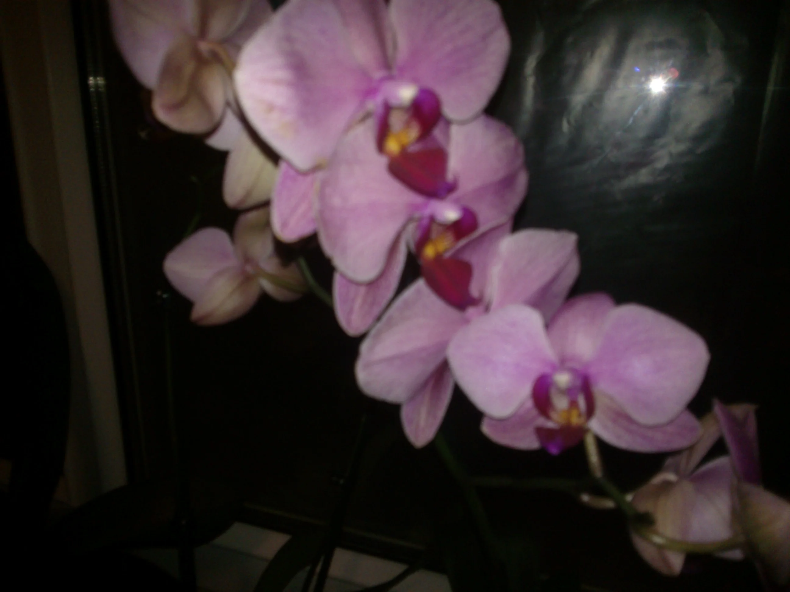 NOKIA Lumia 610_000126.webp