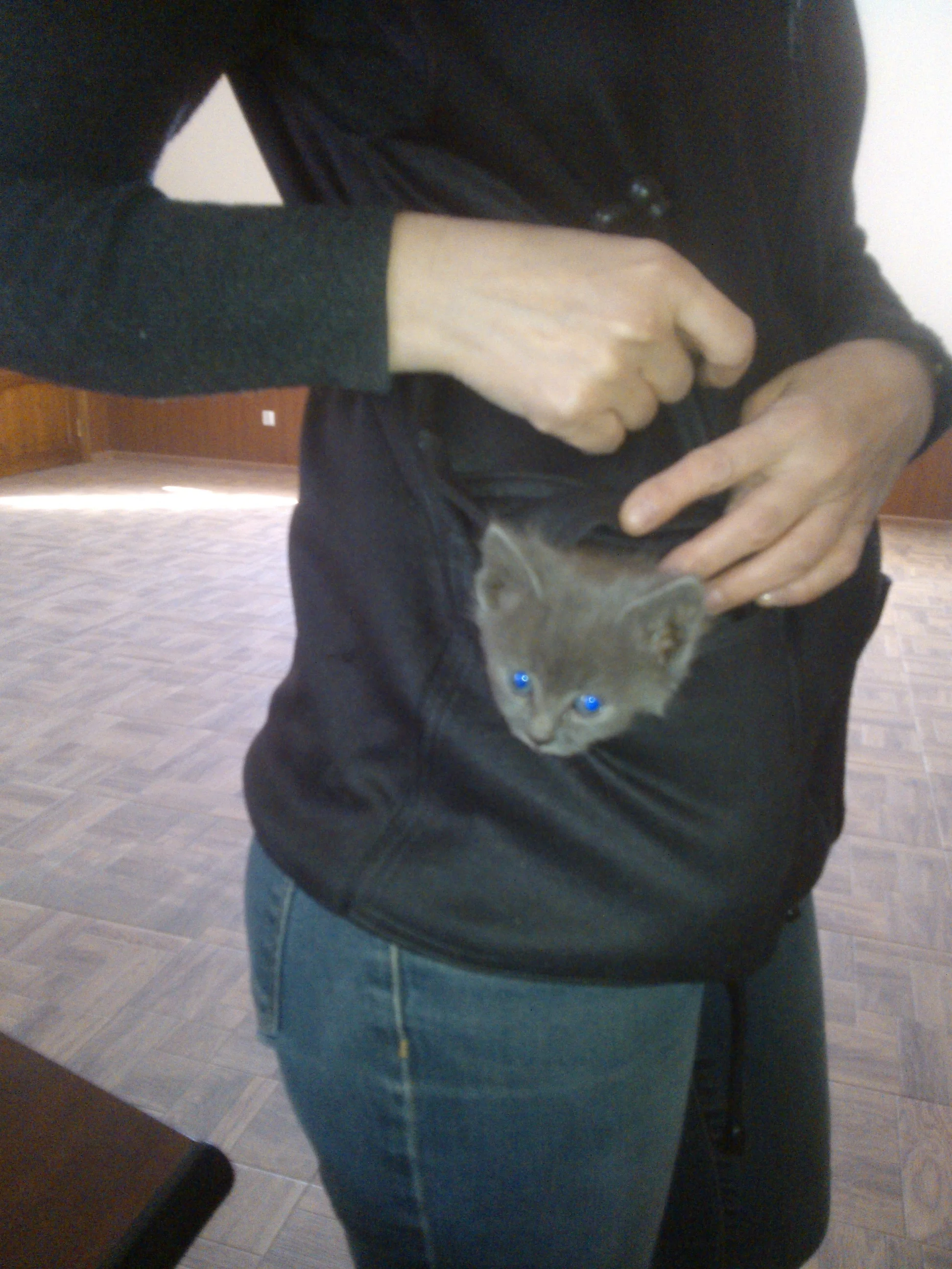 NOKIA Lumia 610_000145.webp