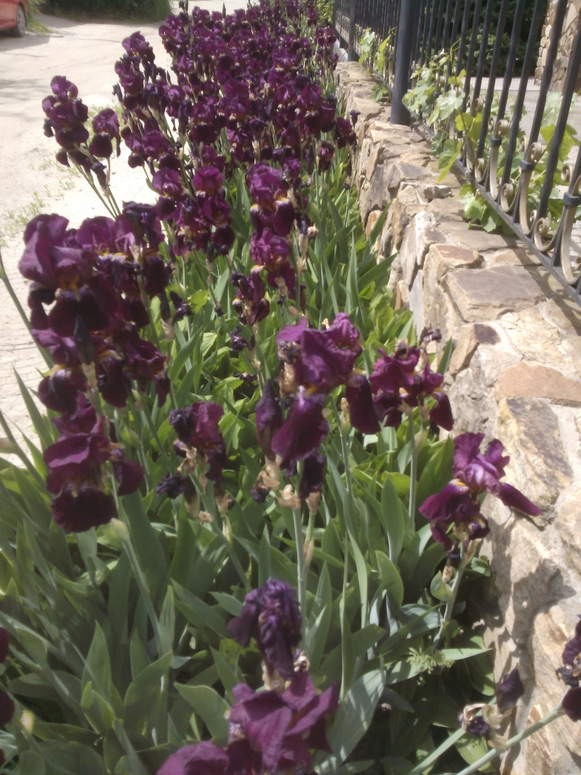 NOKIA Lumia 610_000158.webp