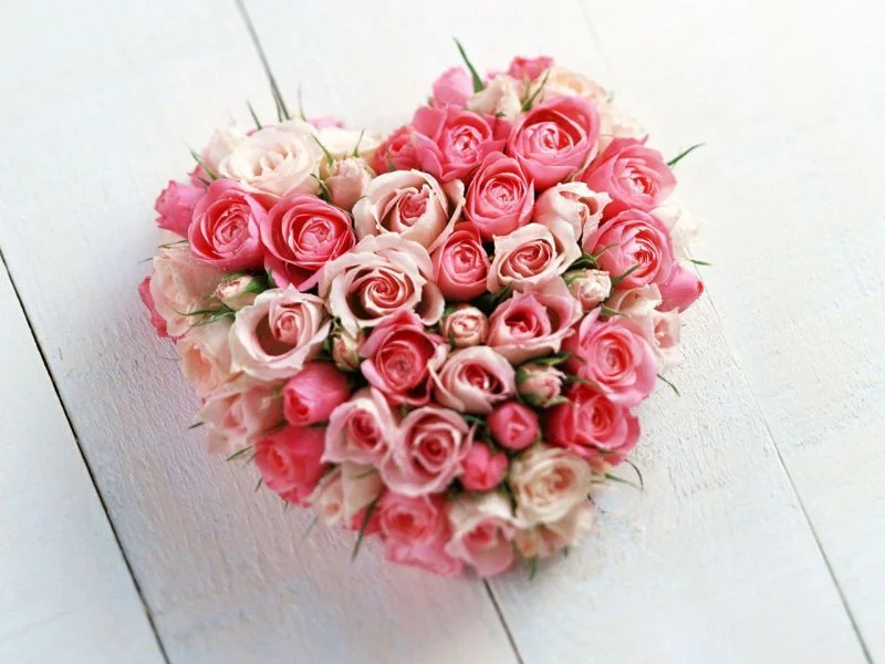 normal_rose.webp