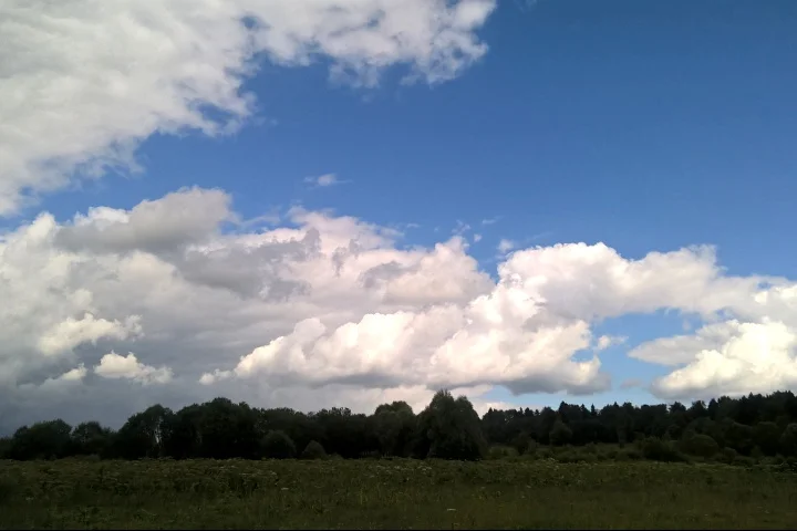 Нормальный (LazyLens 20170719 015041 normal).webp