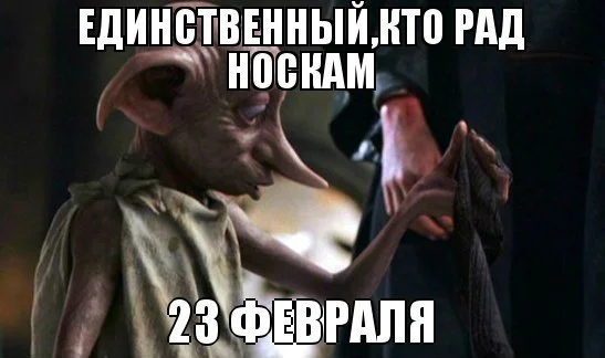 носки-23-февраля-добби-Гарри-Поттер-579624.webp