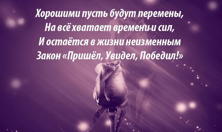 ноу.webp