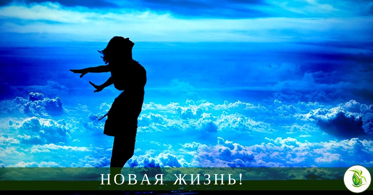 Новая-жизнь.webp