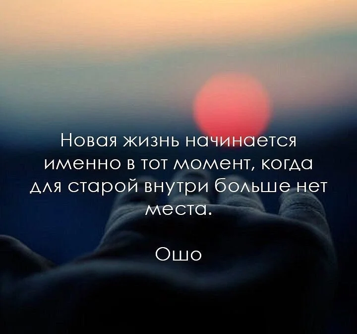 новая жизнь.webp