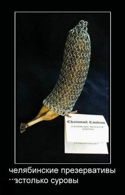 новое 14 1.webp