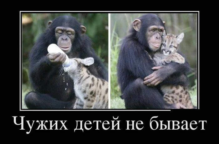 новое 14 10.webp