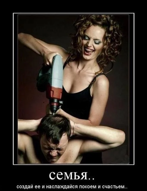 новое 14 2.webp