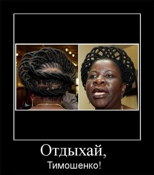 новое 14 3.webp