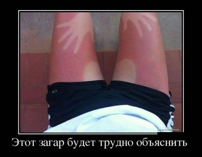 новое 14 9.webp