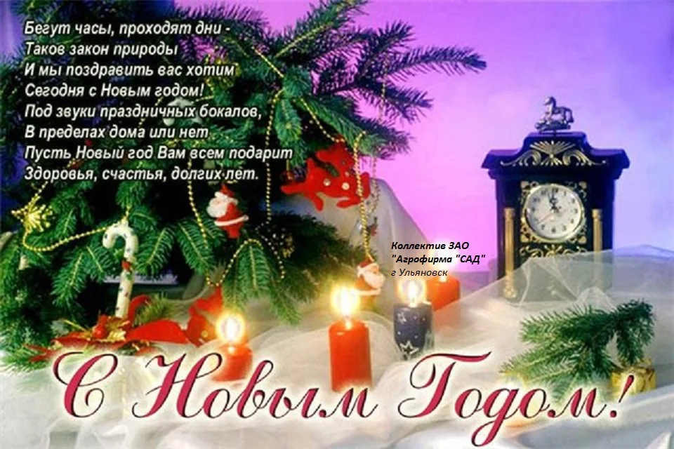 новогоднее поздравление.webp