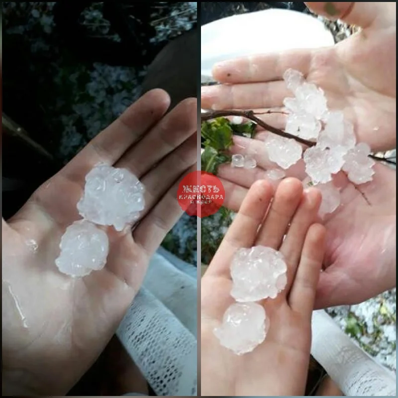 Новый фай2л.webp