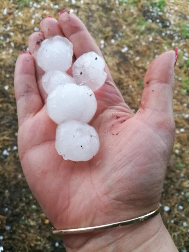 Новый файл 1.webp