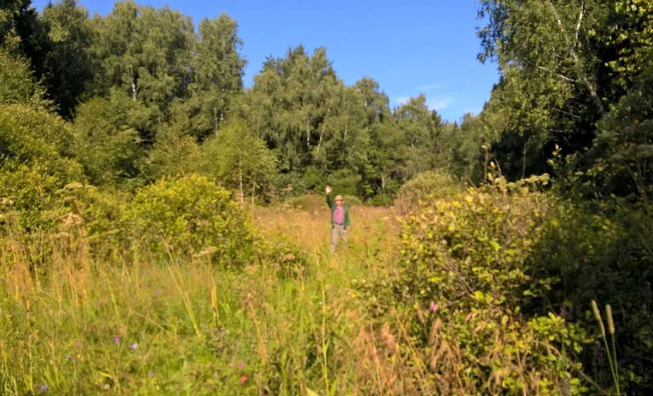 Новый файл.webp