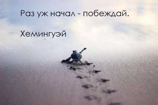 Новый файлит.webp