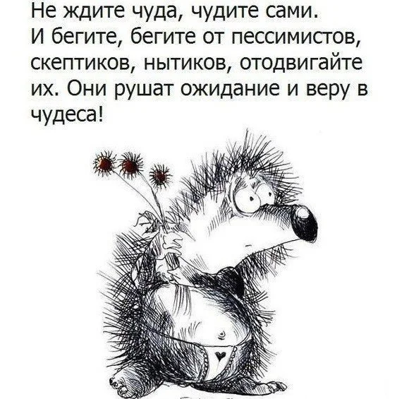 Новый файллддом.webp