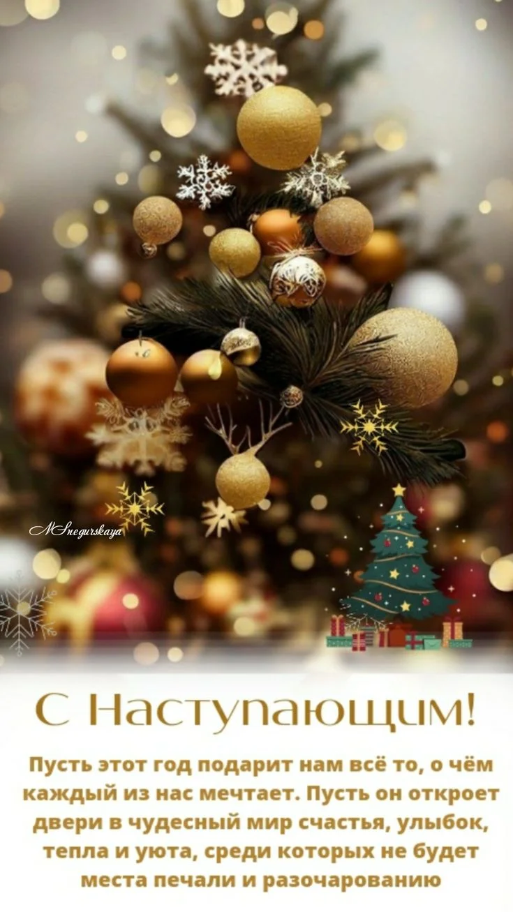 Новый год.webp