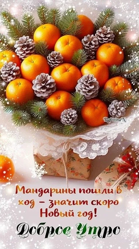 новый год.webp