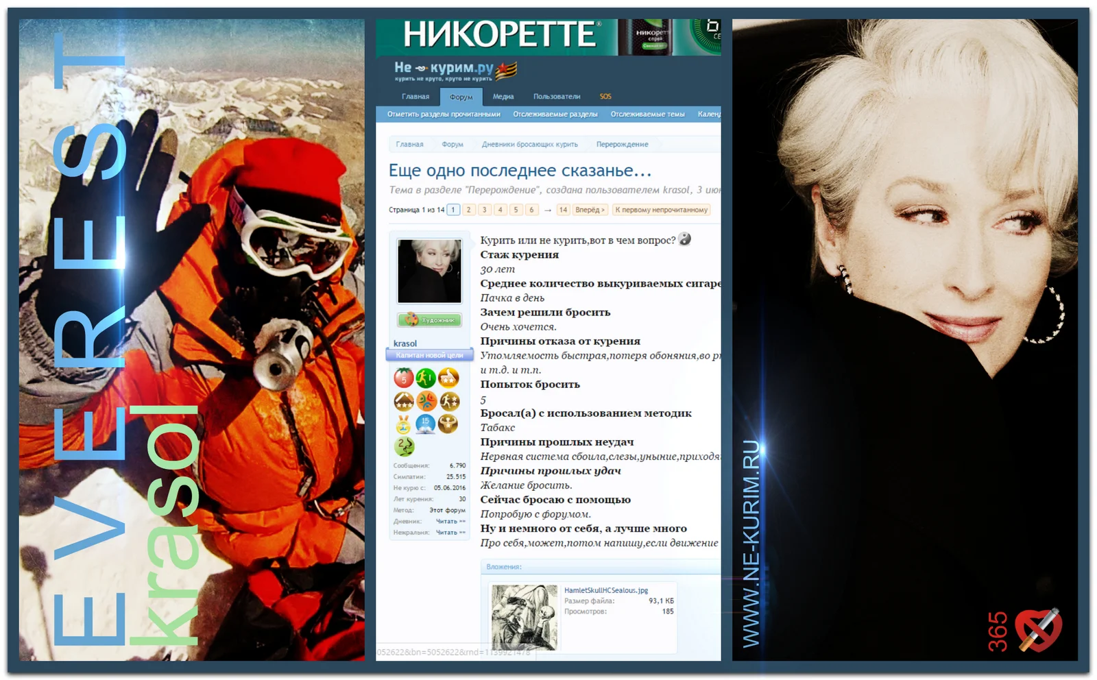 новый коллаж.webp