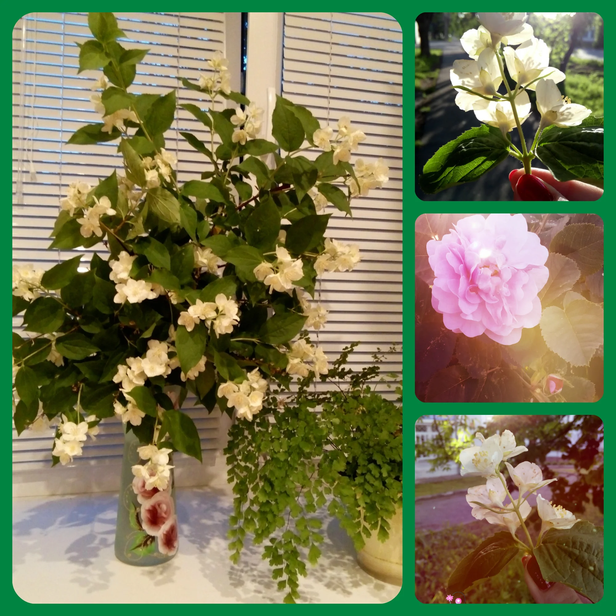 новый коллаж.webp