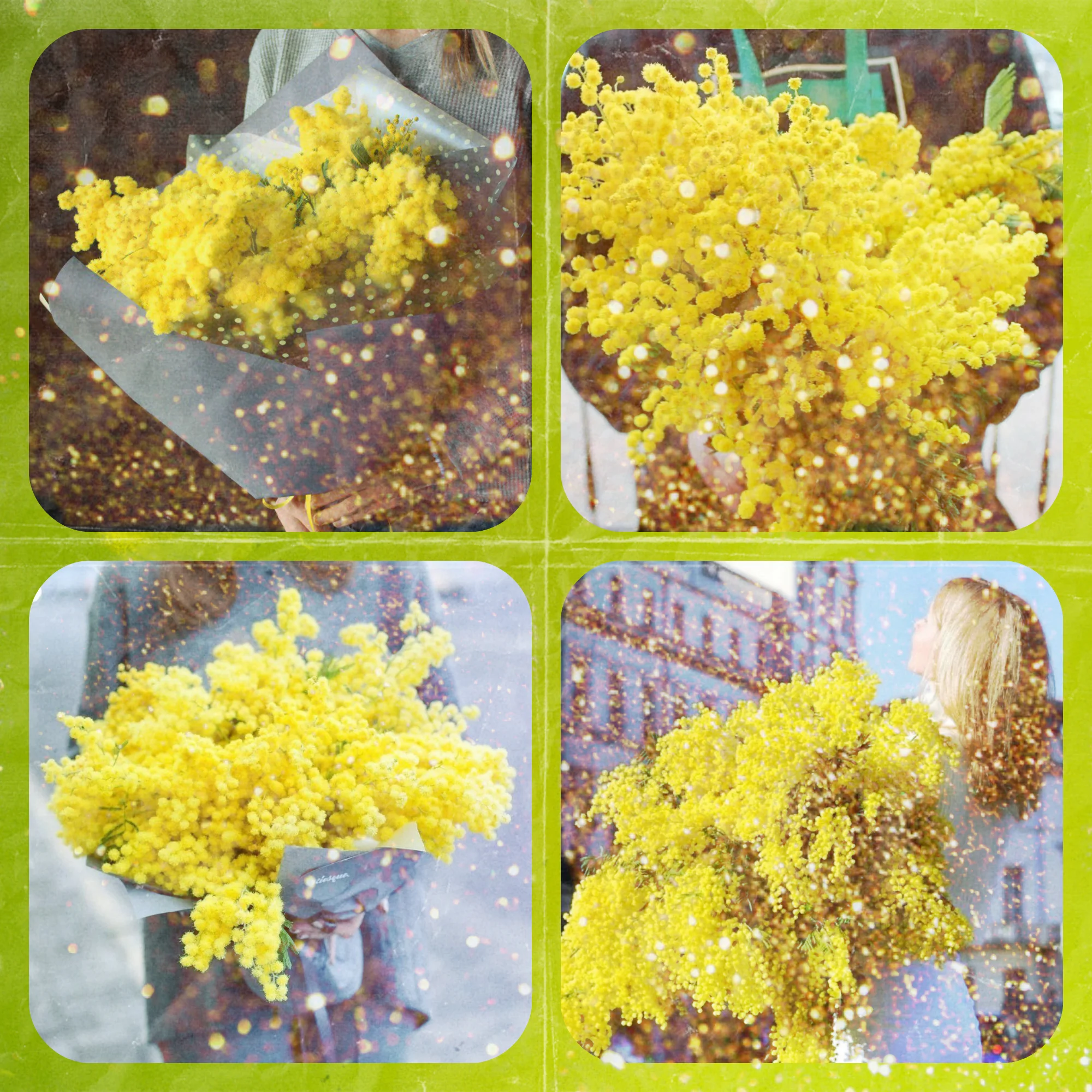 новый коллаж.webp