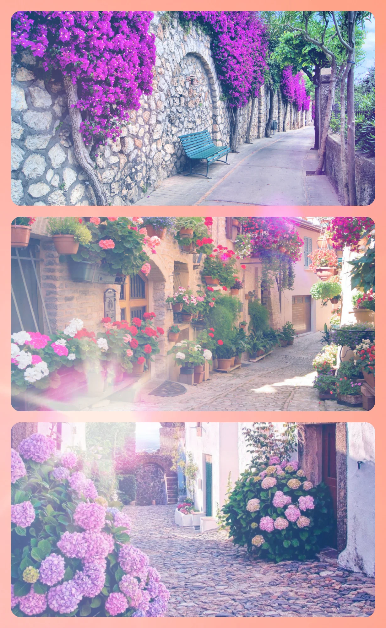 новый коллаж.webp