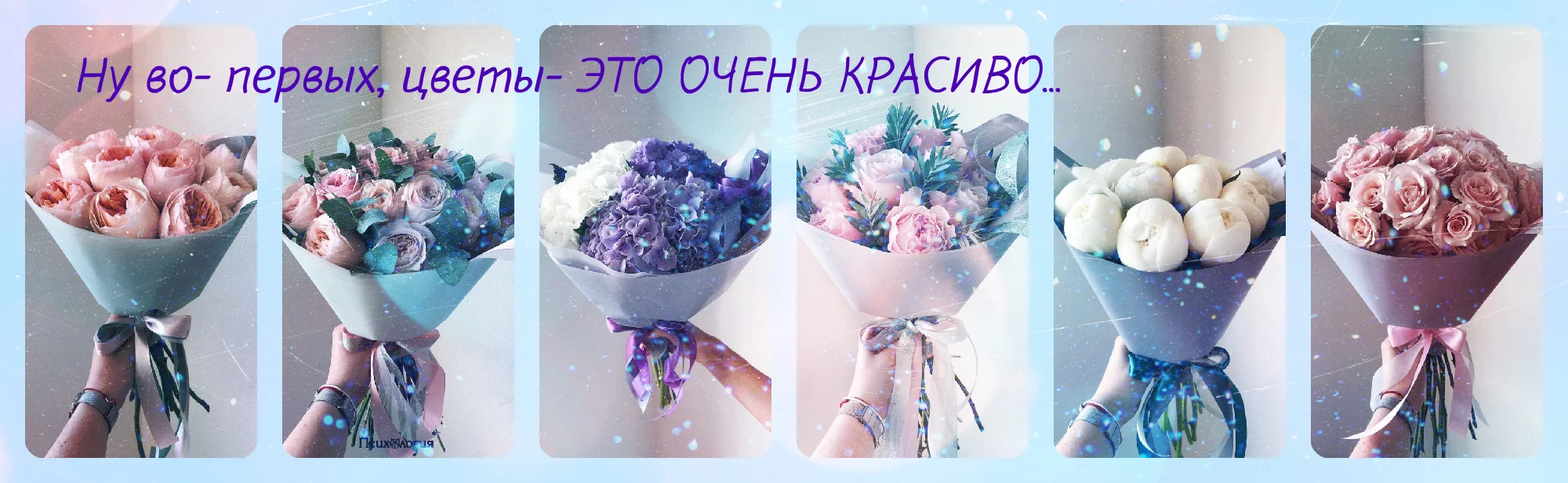 новый коллаж.webp